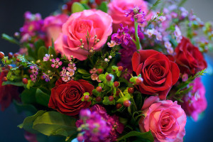 Poster Nature Rose Flowers Flower Bouquet Colors Colorful Red 