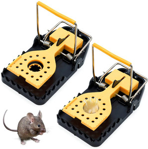 Large mouse trap hot sale