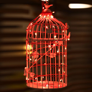30 LEDs 9.96 m Red Steady String Rice Lights