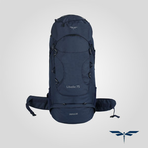 Trekking bags flipkart 2025