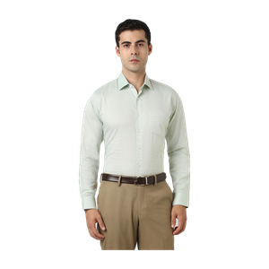 Men Self Design Formal Light Green Shirt
