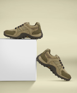 Woodland trekking shoes flipkart online