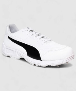 Buy PUMA Evospeed 18.1 Cricket Shoes For Men Online at Best Price