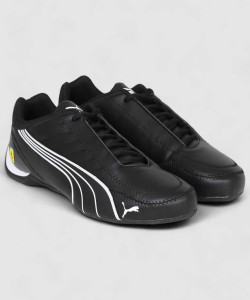 Future kart cat puma online