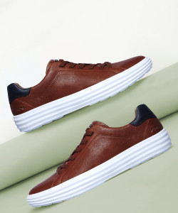 Skechers SHOGUN LOBBY Sneakers For Men Buy Skechers SHOGUN