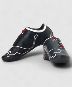 PUMA Future Cat M1 Big BMW MS L Sneakers For Men Buy Bmw Team Blue White Color PUMA Future Cat M1 Big BMW MS L Sneakers For Men Online at Best Price Shop Online for Footwears in India Flipkart