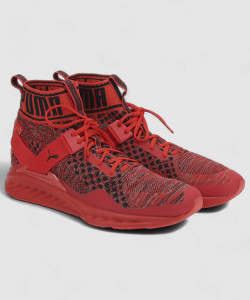 PUMA IGNITE EVOKNIT Running Shoes For Men Buy High Risk Red Puma Black High Risk Red Color PUMA IGNITE EVOKNIT Running Shoes For Men Online at Best Price Shop Online for Footwears