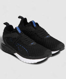 Ignite dual netfit online