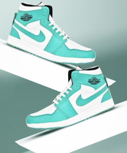 Jordan shoes flipkart 2025