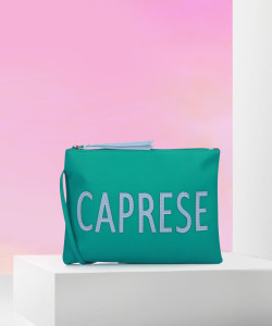 Caprese clutches shop flipkart