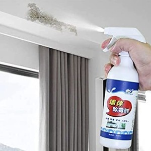 FLOSTRAIN Wall Mold Removal Spray Mould Stain Agent Cleaner Stain Remover  Price in India - Buy FLOSTRAIN Wall Mold Removal Spray Mould Stain Agent  Cleaner Stain Remover online at