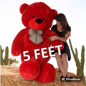 Teddy bear 5 feet red colour hotsell