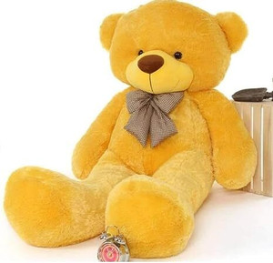 Big big teddy bear top