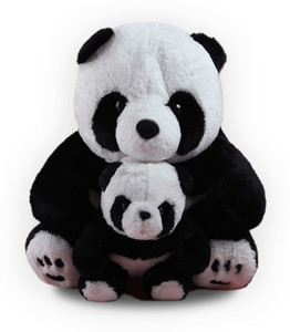 Panda teddy bear argos new arrivals