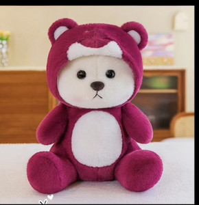 Teddy bear multicolor best sale hoodie