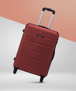 Safari attachi price discount