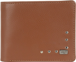 Baggit mens wallet flipkart outlet