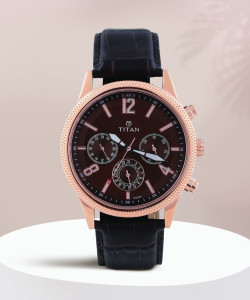 Titan watch applicable 1734wl01