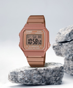 Casio ladies watches flipkart sales