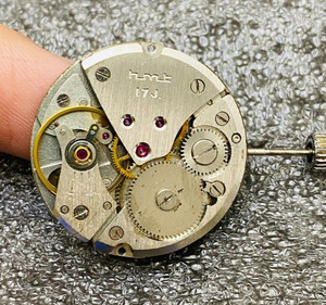 Hmt watch movement shop