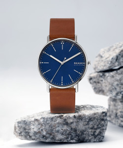 Skagen flipkart outlet