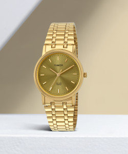 Timex golden hotsell watch price