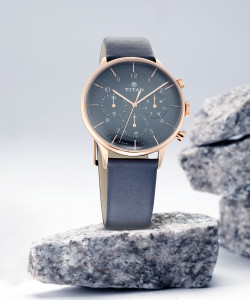 90102wl02 titan shop watch price
