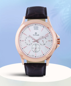 Titan 1698wl01 online