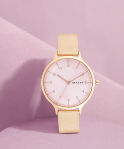 Skagen skw2704 online