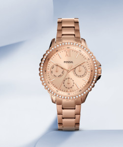 Fossil fs 2025 5659