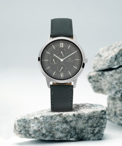 Titan watch 1769saa online