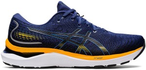 Asics on sale dynaflyte poseidon