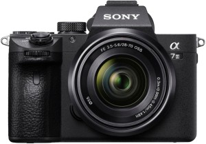 sony a7iii in 2020