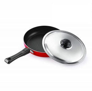 Billion PT Induction Bottom Fry Pan 24 cm diameter 1.25 L capacity