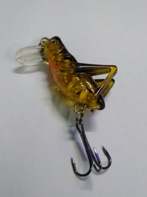 Ganapati Hard Bait Plastic Fishing Lure Price in India - Buy