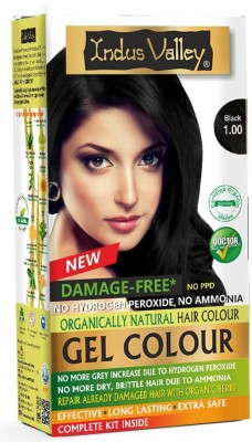 Indus Valley Organically Natural Hair Color Damage Free No Ammonia Gel Hair  Color Black 100  black 100  Price in India Buy Indus Valley  Organically Natural Hair Color Damage Free No