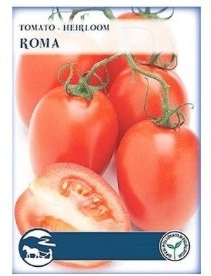 Tomato Brandywine Pink Seed