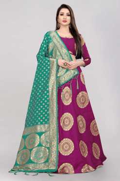 Embellished Semi Stitched Lehenga Choli