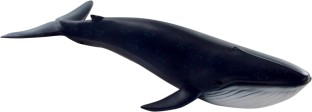 CollectA Blue Whale 