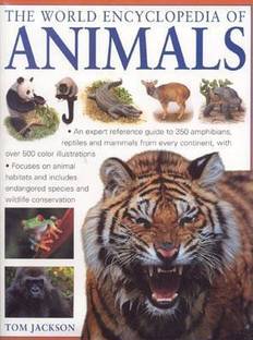 Firefly Encyclopedia Of The Vivarium Keeping Amphibians - 