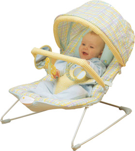 soothing vibrations bouncer