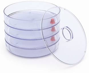 Disha - 3 L Plastic Food Storage