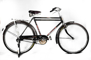 neelam cycle price