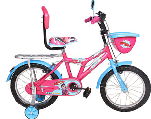 bsa child cycle