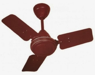 600 mm 3 Blade Ceiling Fan Price 