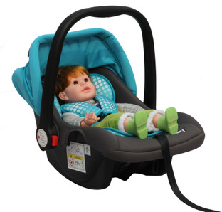 baby in carrycot