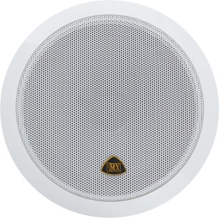 Wall Stereo Ceiling Speakers 