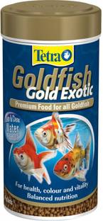 tetra goldfish gold colour