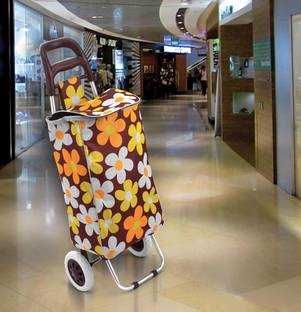 Flipzon Foldable Shopping Trolley Bag Color Send Based