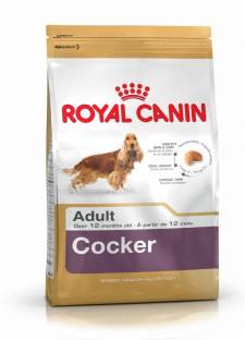 Royal Canin Cocker Spaniel Adult 3 kg Dry Adult Dog Food 4.624 Ratings & 1 Reviews For Dog Flavor: NA Food Type: Dry Suitable For: Adult Shelf Life: 18 Months ₹2,327 ₹2,450 5% off Free delivery Buy 2 items, save extra 2%
